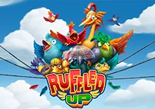 Ruffled Up