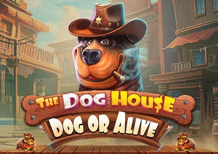 The Dog House Dog Or Alive
